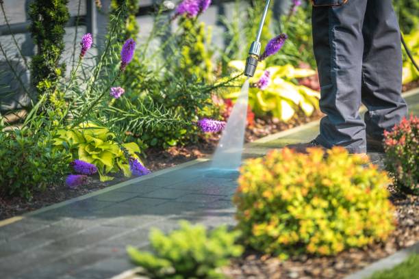 Best Winterizing Services  in Struthers, OH
